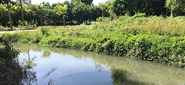 沿用城市思维？农村黑臭水体治理“行不通”！