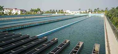 近10年 我国有哪些水厂实现了“智慧化”？