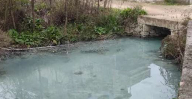 |污泥处理项目发展现状与前景