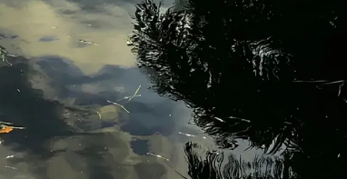 |聚焦水资源管理：从农村水体治理到城市节能减排