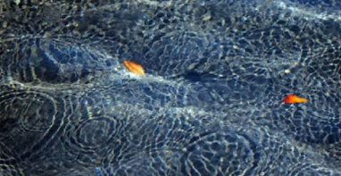 |特许经营新政驱动下，超/特大城市水务升级路径